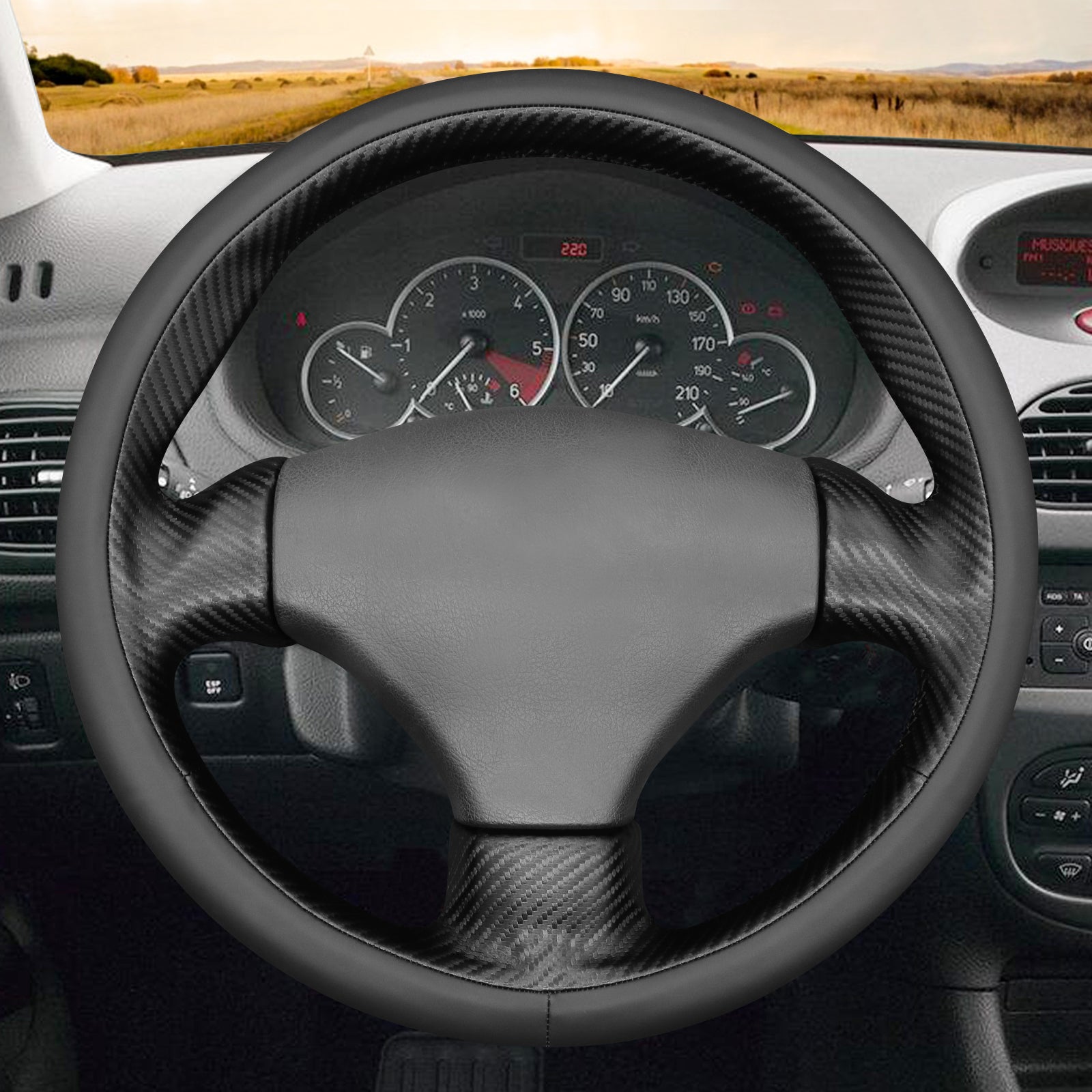 MEWANT Couvre Volant pour Peugeot 206 2001-2009 / 206 CC 2001-2007 / 206 SW 2002-2007